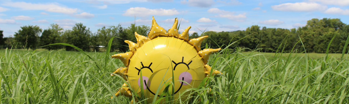 Sunshine balloon on grass