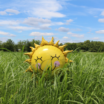 Sunshine balloon on grass