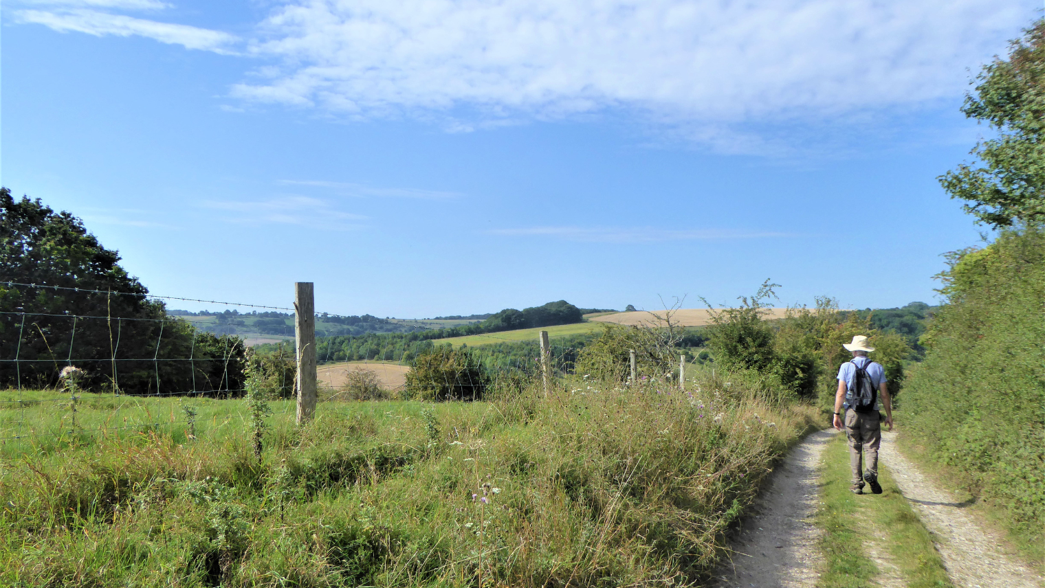 North Wessex Downs National Landscapes walk