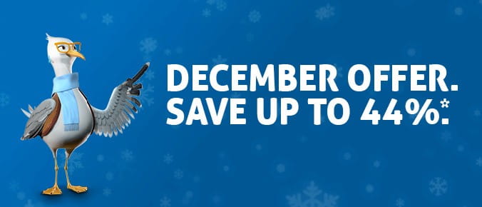 Seagull point to the December offer 