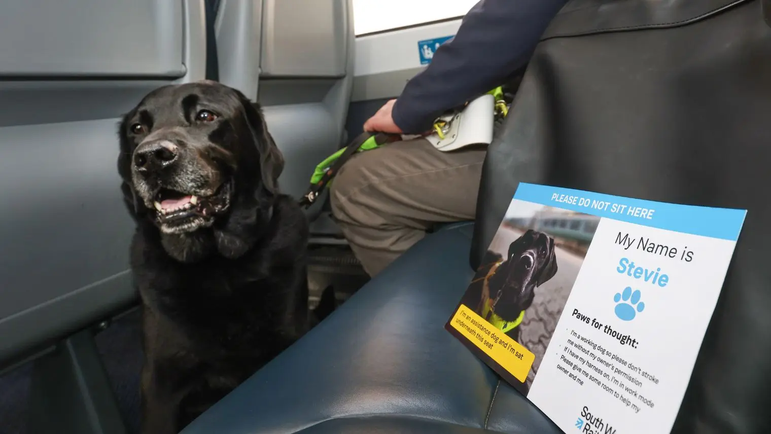 International Guide Dog Day 2