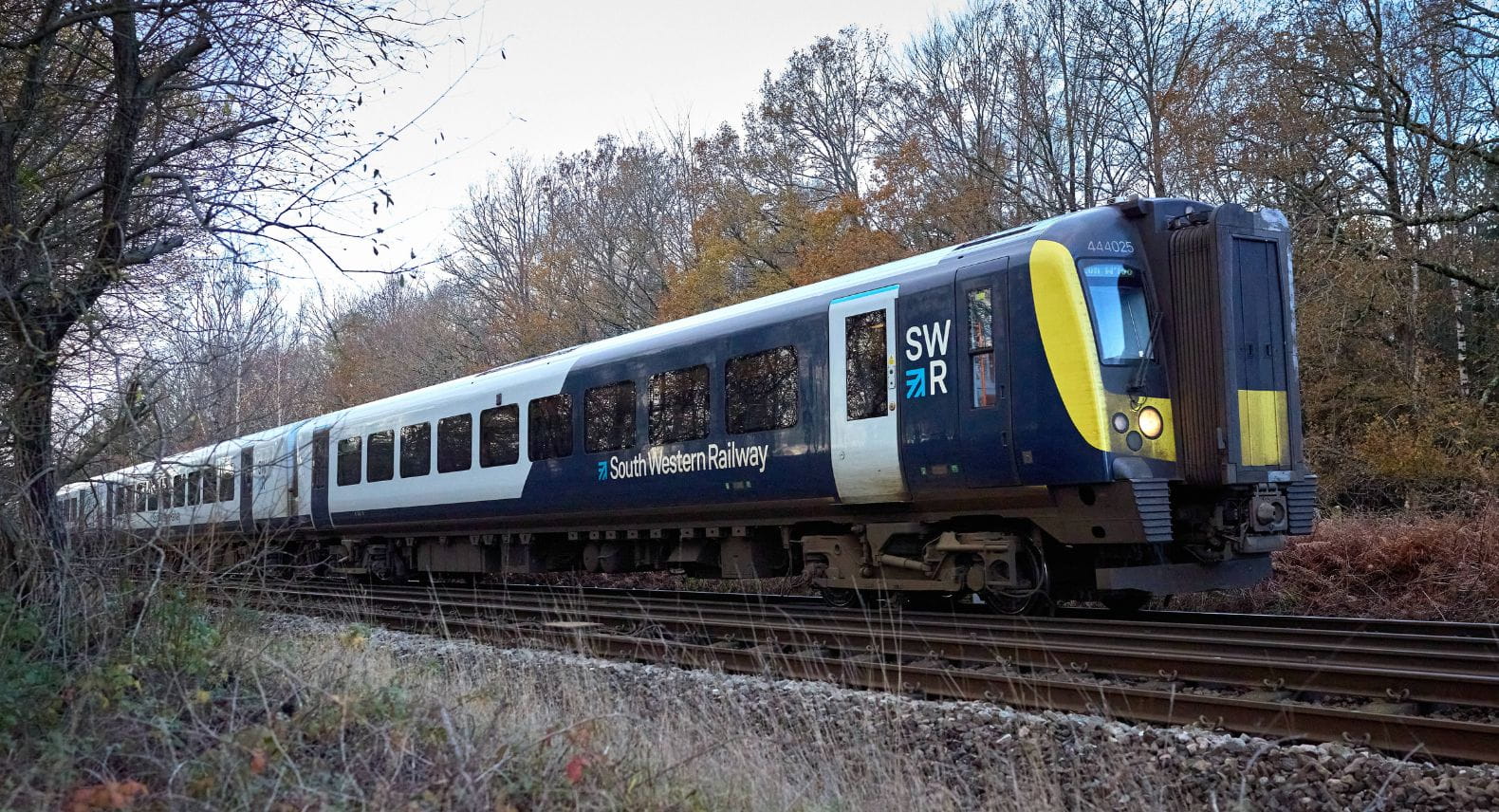 SWR Class 444 train passing through the New Forest