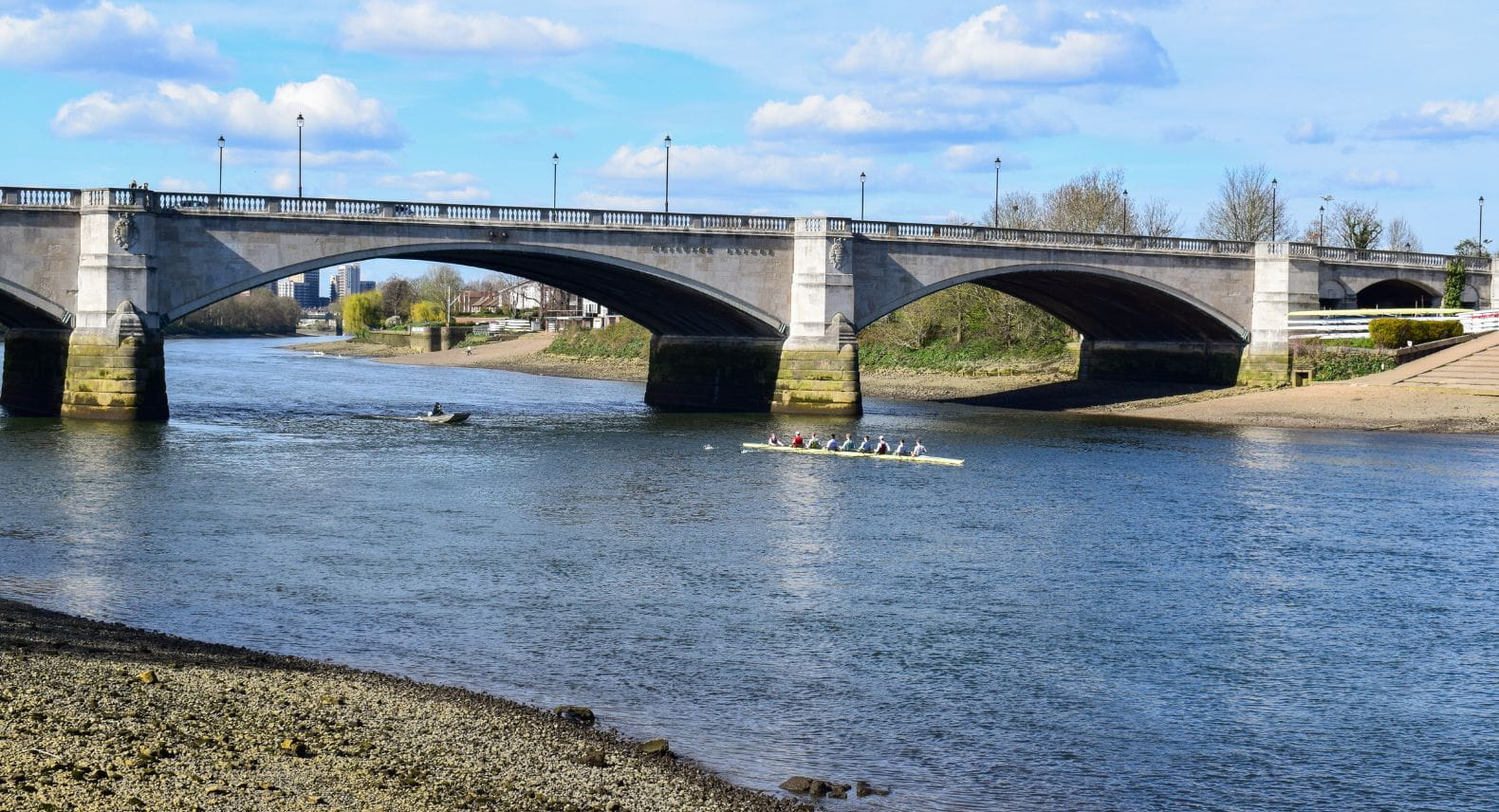 Rowers passing under Chiswick Bridge