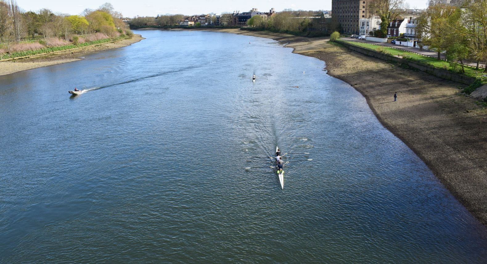 Rowers on the Thames seen from Chiswick Bridge