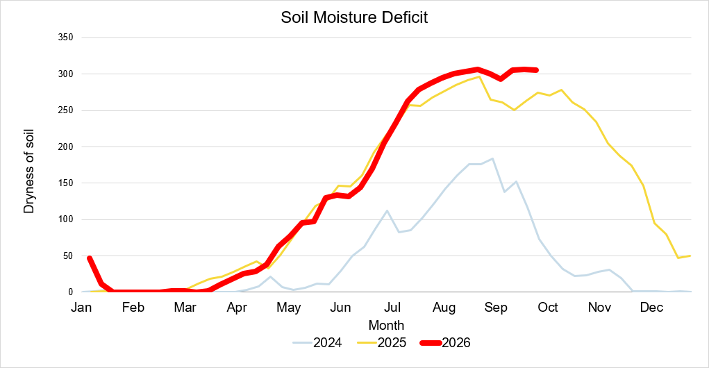 Graph showing the soil moisture and dryness compared to previous years following the consistent high temperatures during the summer