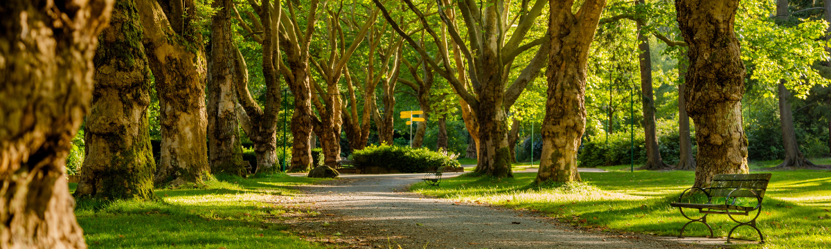 The best parks in London to spend your lunch break