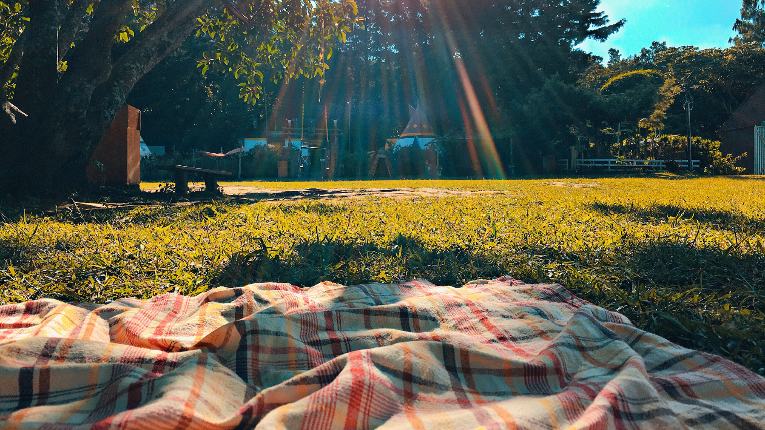 A blanket on the grass in a park