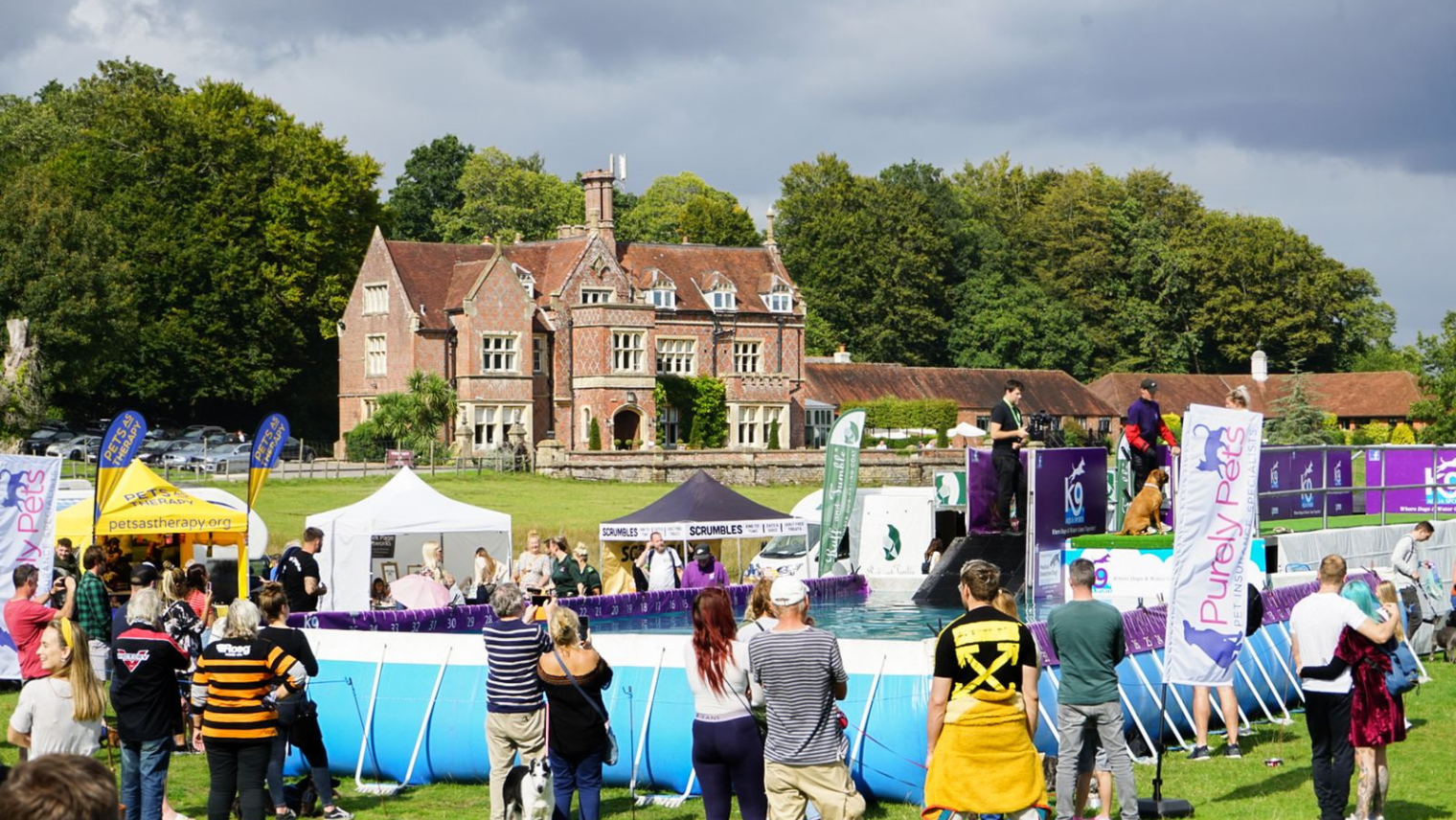 Dog diving pool at Dogstival in the New Forest 