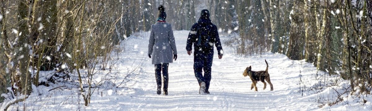 Find the best winter walks with SWR