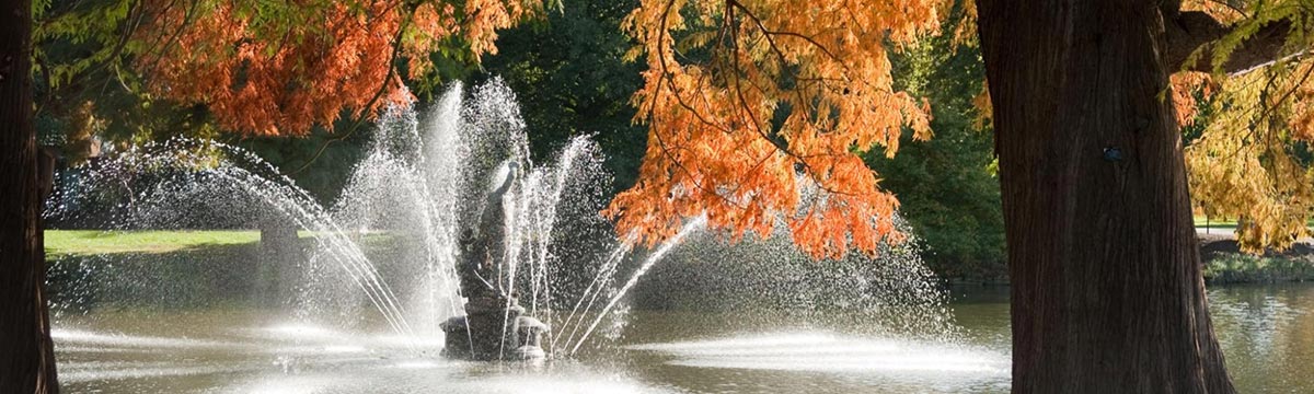 late autumn sun fountain view