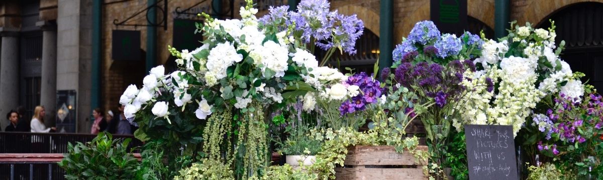 Find the best flower markets in the south west with SWR