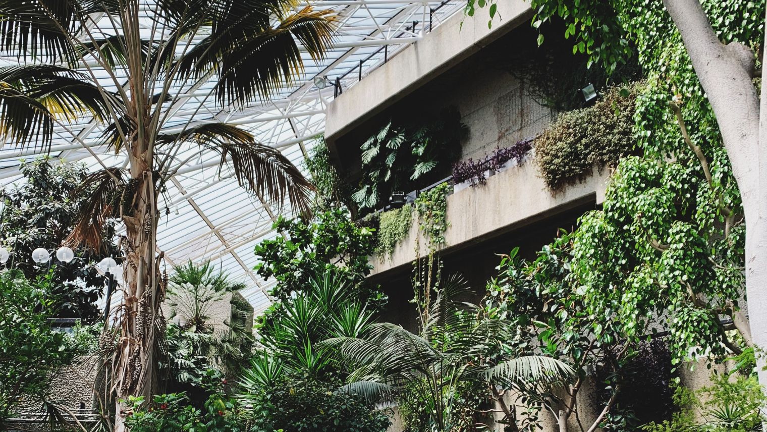 Barbican Conservatory the second biggest conservatory in London