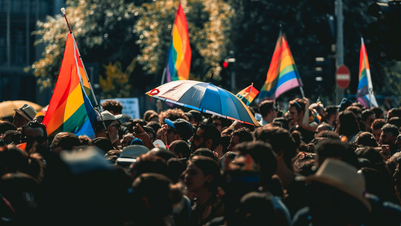Image of a large crowd at a Pride event with some holding rainbow coloured flags or umbrellas