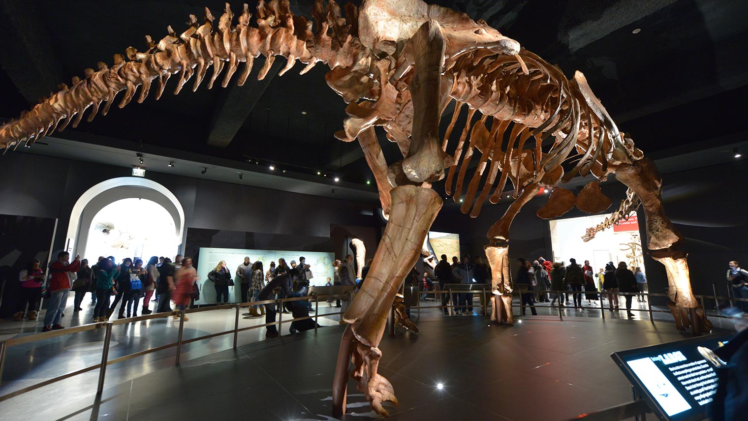 Titanosaur: Life as the Biggest Dinosaur | Natural History Museum