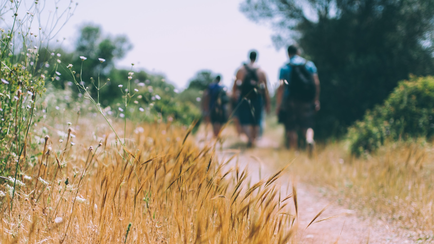 An image of 3 people hiking 