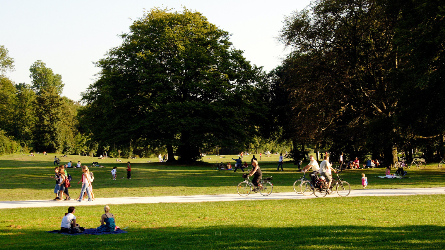 An image of people at a park in the summer