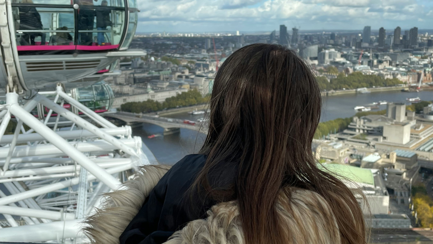 View from the top of the London Eye