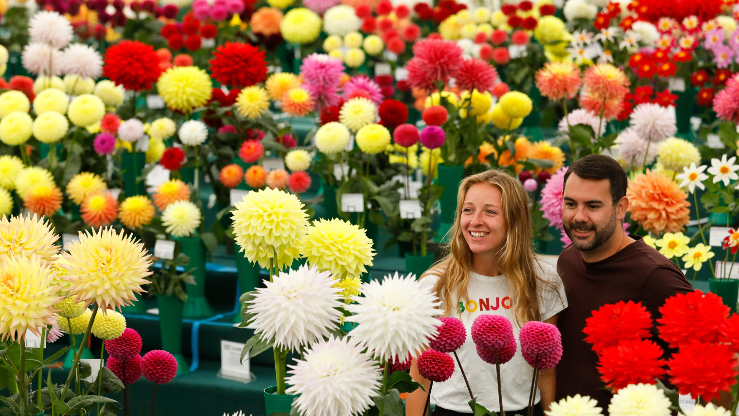 A man and woman admiring flowers 