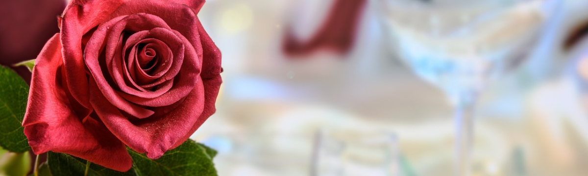 A red rose next to wine glasses