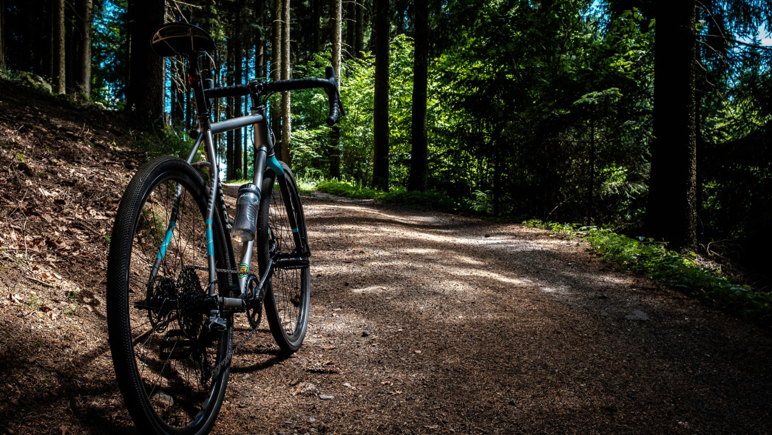 A bike in the forest