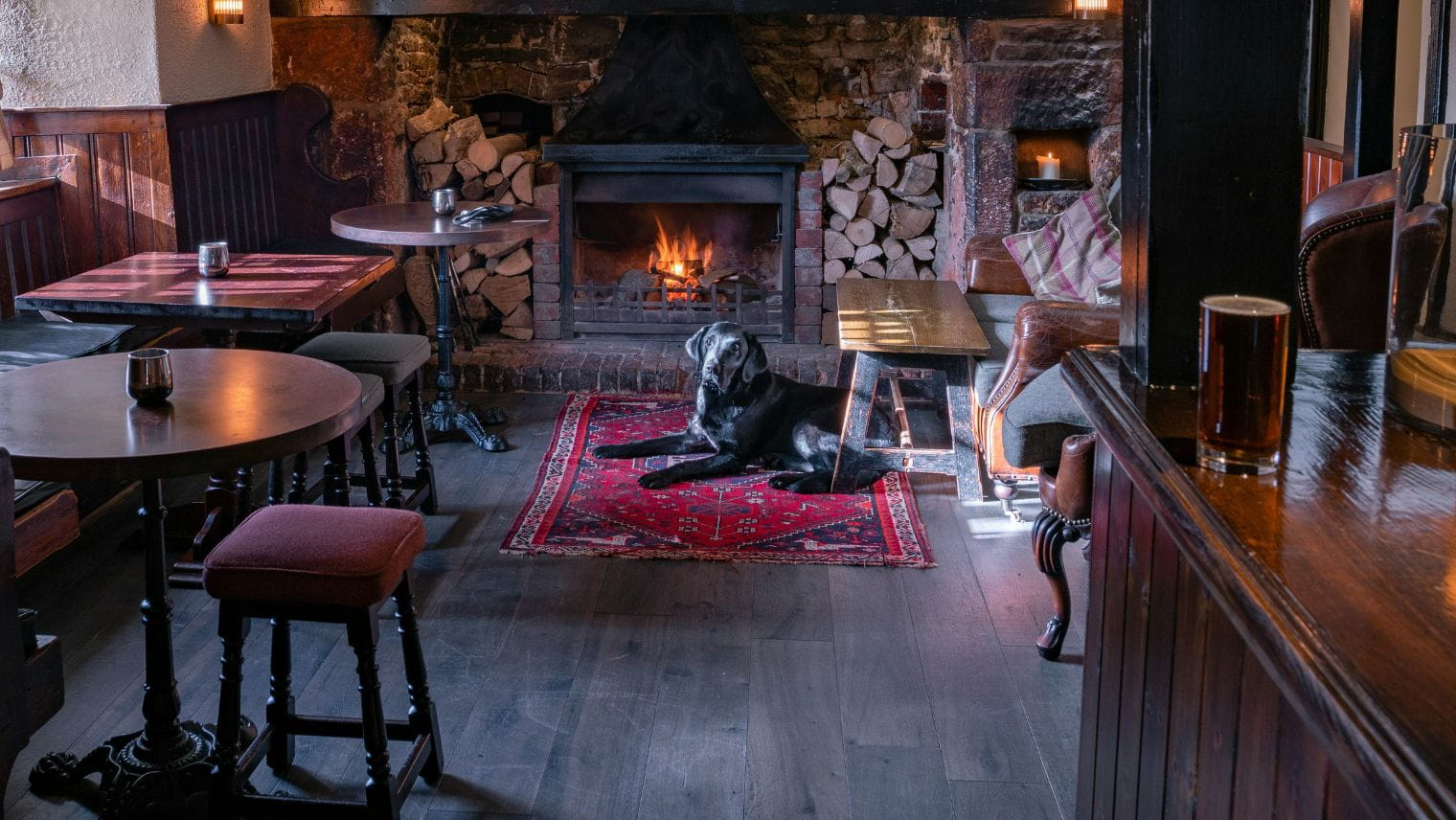 A pub inside with a dog