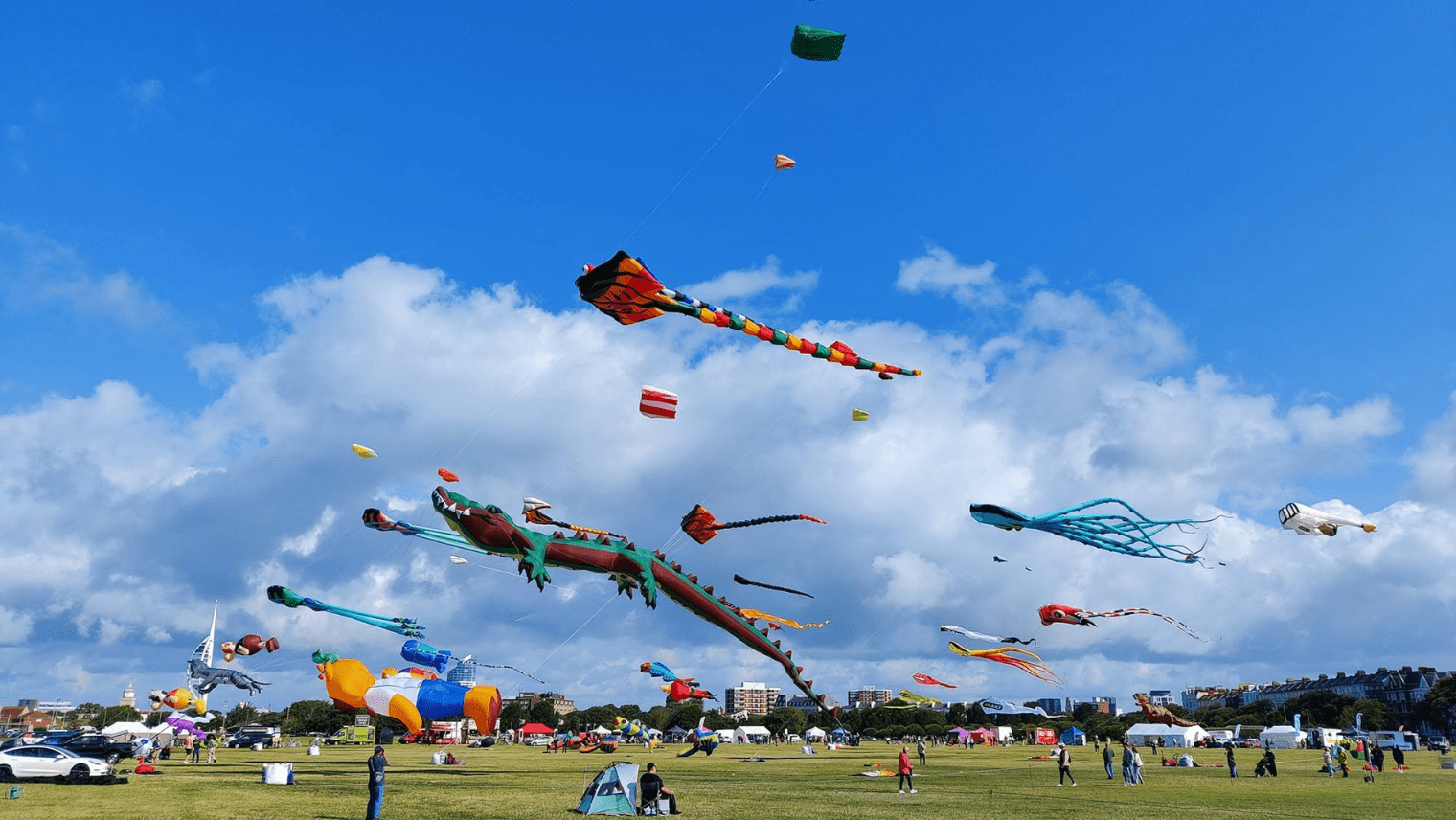 Colourful kites flying over Southsea Common, shaped like dragons, octopuses, and animals against a bright blue sky.