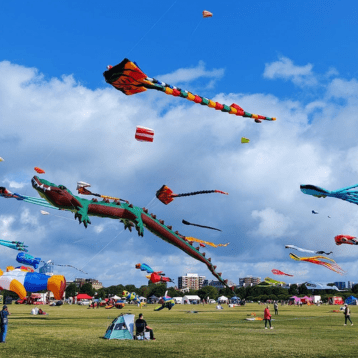 Brightly coloured kites of various shapes, including a long dragon and an octopus, fly over an open park as people watch and relax below.