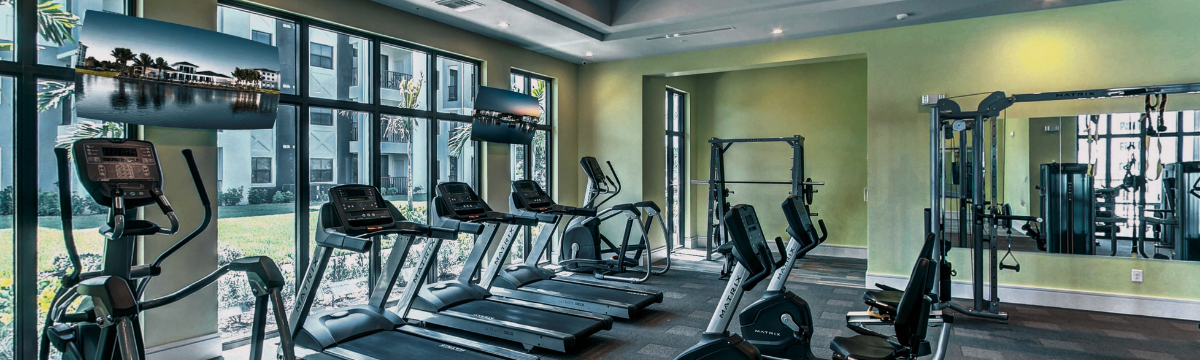 A bright, modern gym with treadmills, bikes, and weight machines beside large windows overlooking greenery.