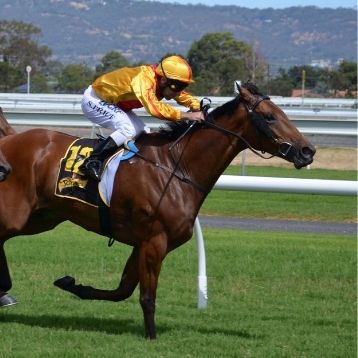 Find the best racecourses in the south west with SWR