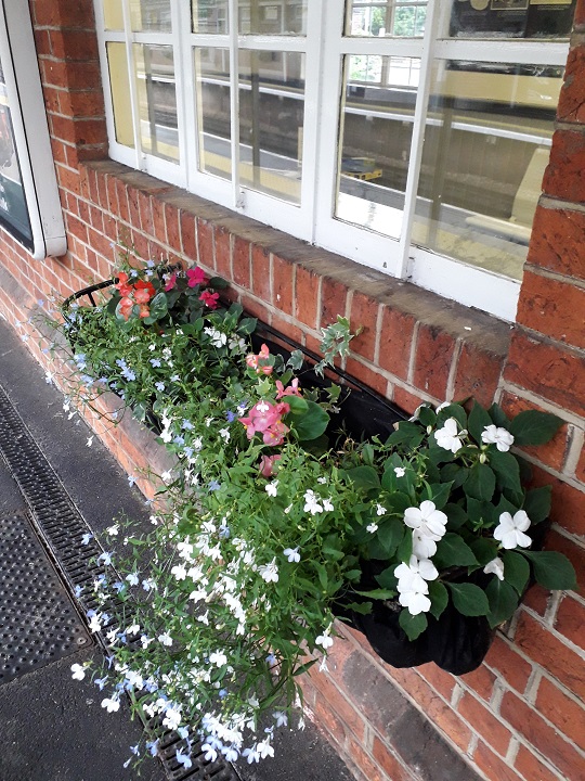 Flower planter at Brockenhurst Station