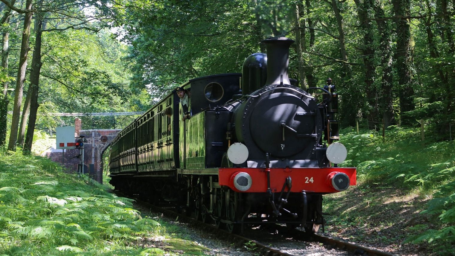 A train steaming through the countryside at the Isle of Wight Steam Railway