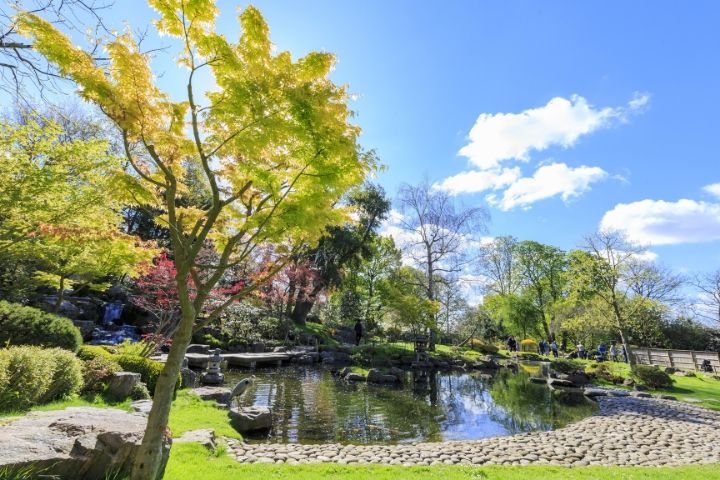 Enjoy the Kyoto Garden in London with SWR