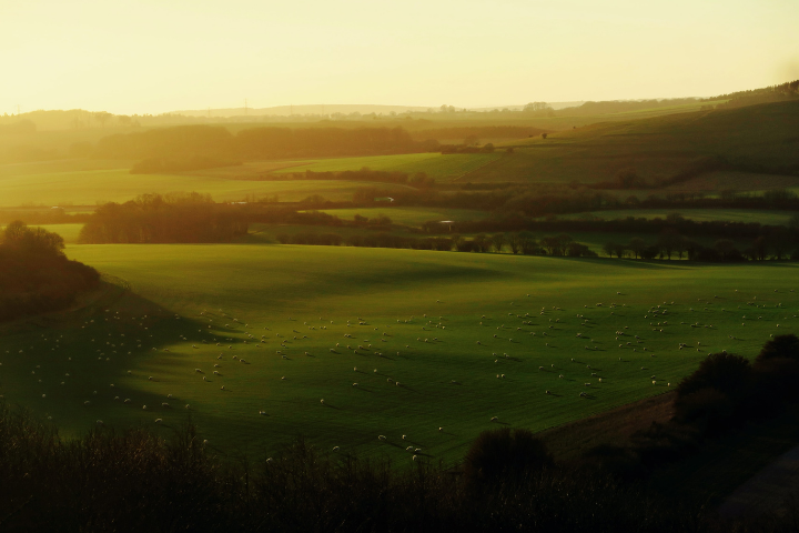 View from Watership Down