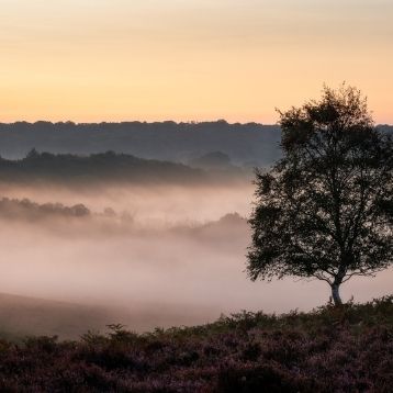 Best days out away from London